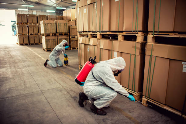 Best Flea Control Services  in Woodville, MS