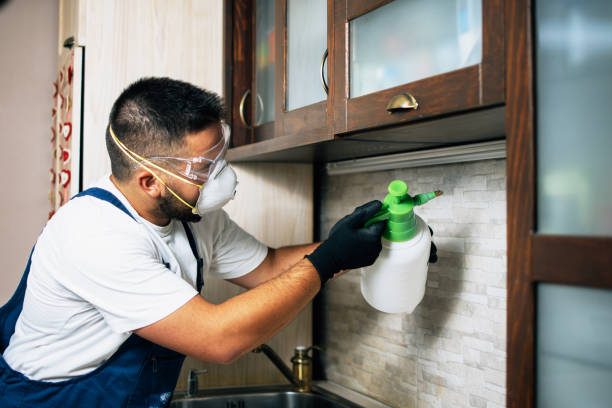 Best Rat Extermination Near Me  in Woodville, MS