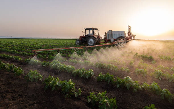 Pest Control Cost in Woodville, MS