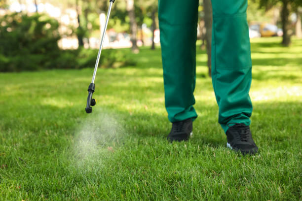 Best Flea Control Services  in Woodville, MS