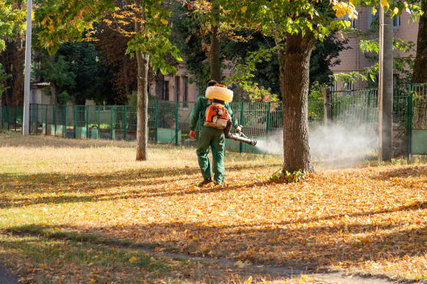 Best Commercial Pest Control Services  in Woodville, MS