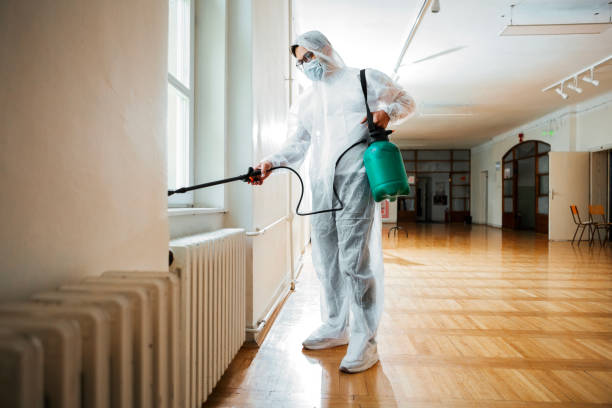 Wasp Removal Services in Woodville, MS