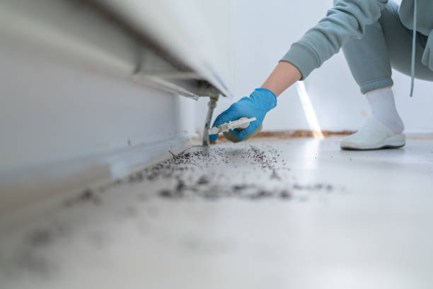 Professional Pest Control in Woodville, MS